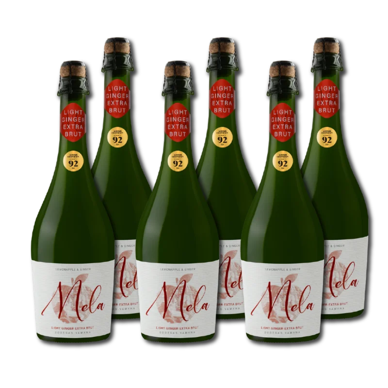 6 Mela Light Ginger Extra Brut 6,9° | 750ml